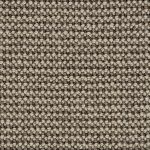 Wool Grace Sandy Shore WG102