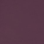 Leather Aubergine HL12