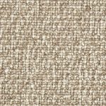 Wool Treasure Hidden Fossil WT503
